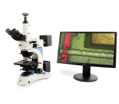 kính hiển vi kim tương