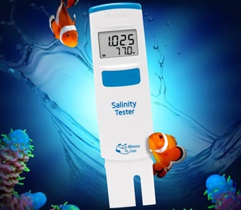 Giải đáp bút đo độ mặn Hanna HI98319 có nên mua không?