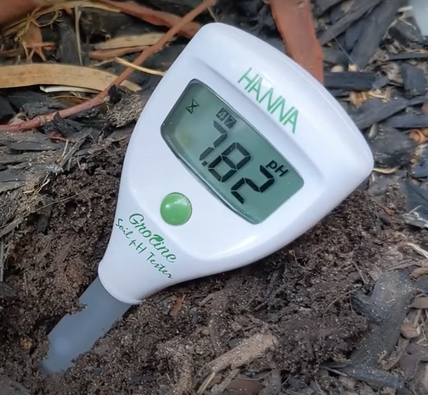 Bút đo pH Hanna HI981030 kiểm tra độ pH đất nhanh, chính xác