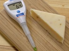 Có nên mua Bút đo pH/Nhiệt Độ Hanna HI98107 không?