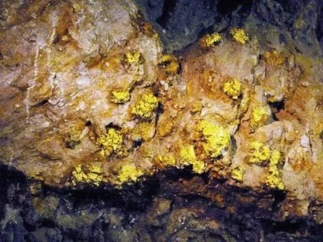 Khai thác vàng từ quặng vàng