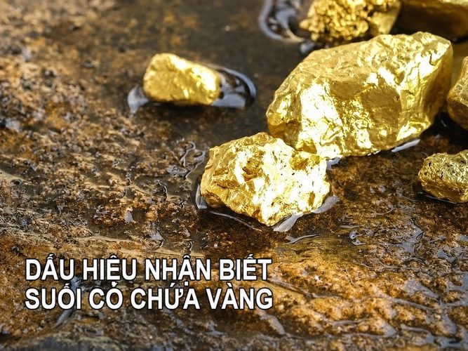 Những khu vực suối dễ có vàng và dấu hiệu nhận biết